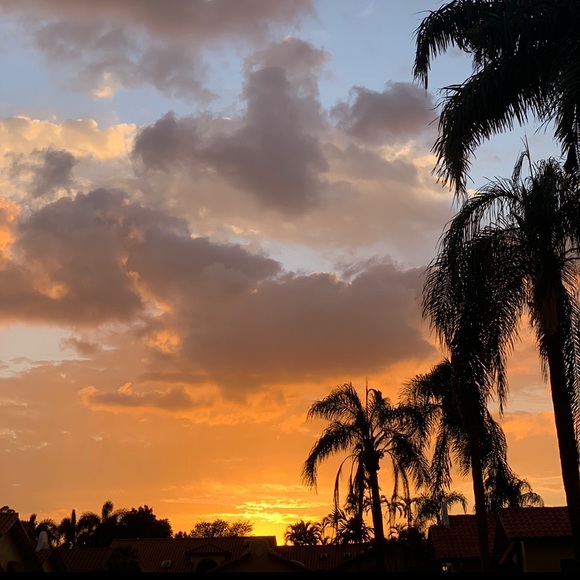 POSH AMBASSADOR ✨5 Star ⭐️ Top Rated Seller✨ - Picture 10 of 17